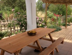 Outside Meal Area