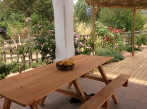 Outside Meal Area